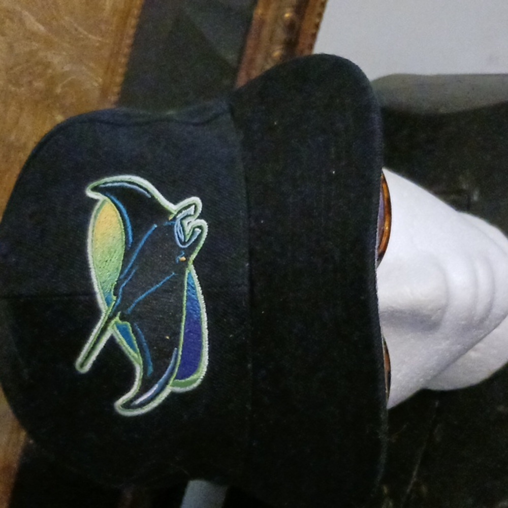 Tampa Bay Devil Rays Baseball Cap. - image 1